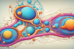 Cellular Respiration and ATP