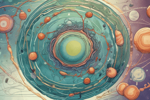 Cell Cycle: Mitosis Stages