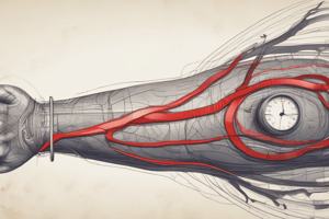 Hypovolemia and Blood Pressure