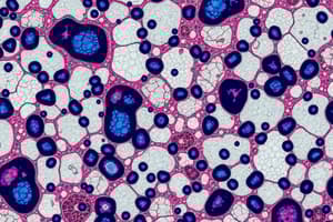 Histology: Microscopy and Staining Techniques