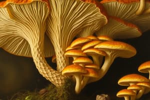 Fungal Biology: Synchytrium Quiz