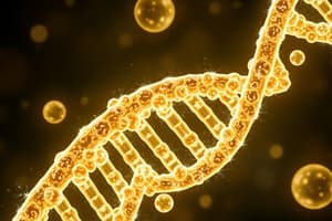 DNA Polymerase & Replication