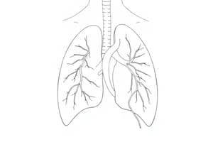 Circolo Polmonare e Resistenze Vascolari (Fisiologia 37)