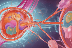 Renal Gluconeogenesis and Lactate Handling