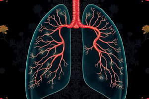 Human Respiratory and Circulatory Systems