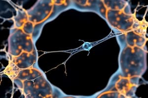 Cytoskeleton Structure and Functions