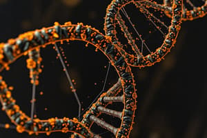 DNA Structure and Forensic Applications