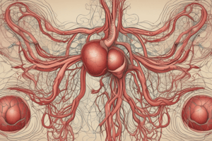 Blood Flow and Circulation