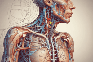 Heart Rate Control: Autonomic Nervous System Regulation