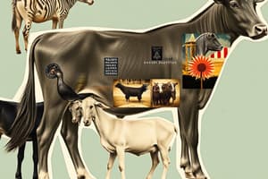 Understanding Purebred Animals