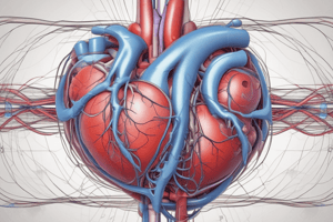 Cardiac Conduction System and Arrhythmias