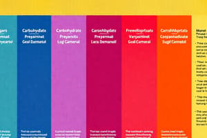 Classification des glucides