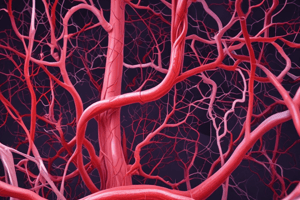 Blood Vessels Anatomy and Function Quiz