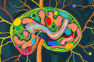 Enteric Nervous System Overview