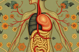 Sistema Circulatorio y Digestivo