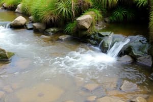 Protección del Medio Ambiente