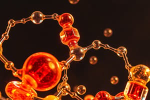 Carbohydrates Overview Quiz