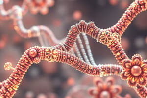 Polymerase Chain Reaction (PCR)