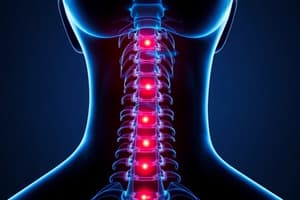 Neck Pain and Radiculopathy Quiz