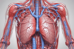 Ninja Nerd - Circulatory System | Pulmonary Circulation