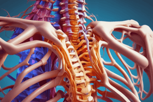 Thoracic Spine Assessment and Treatment Principles