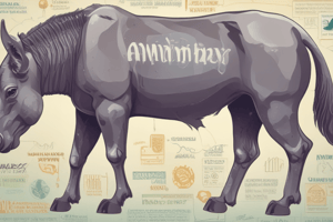 Essential Amino Acid Index in Veterinary Medicine