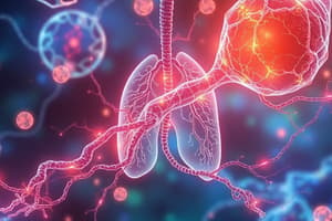 Cellular Aerobic Respiration Overview