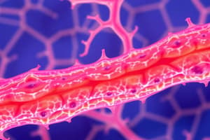 Biology Tissues Overview