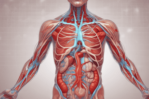 Physiology Quiz: Heart and Muscle Function