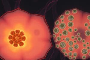 Biology Chapter 5: Cell Structure and Function