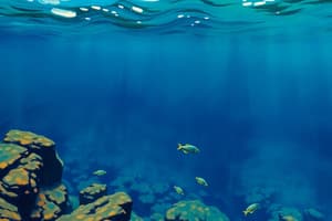 Oceanography: Salinity, Depth, and Ocean Floor