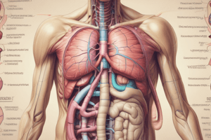 Introduction to the Esophagus