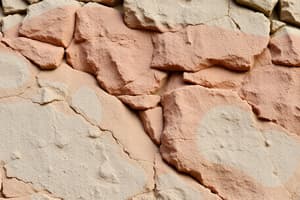 Sedimentary Rocks: Formation and Classification