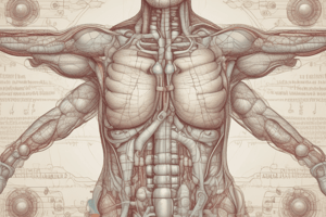 Thyroid Hormones T3 and T4 Functions