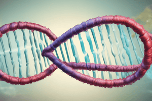 DNA Structure and Replication Quiz