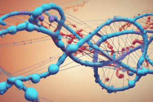 Molecular Biology: Codon Structure and Translation