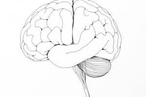 Lateralizzazione delle Funzioni Cerebrali (Fisiologia 102)