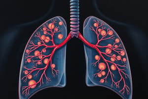 Respiratory System Overview