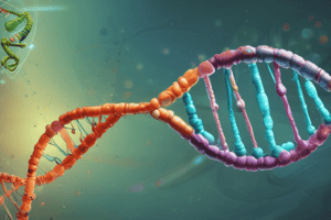 Molecular Biology: DNA Inhibition Mechanisms