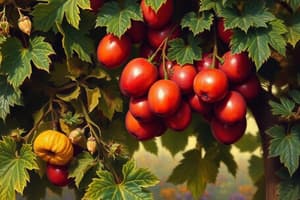 Produce Maturity and Preharvest Factors