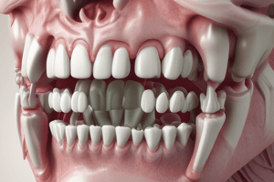 Dental Anatomy: Maxillary Premolars