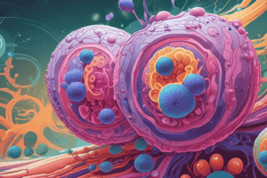 Stem Cells and Cell Differentiation