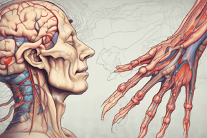 Traumatic Neuroma: Clinical Features and Histopathology