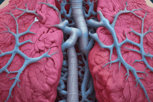 Anesthetic Implications of SVC Syndrome