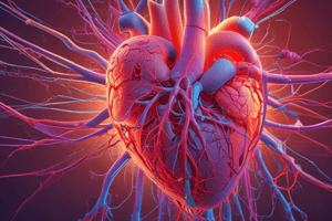 Sympathetic and Parasympathetic Innervation of Heart Nodes