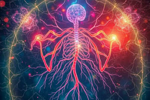 Autonomic Nervous System Overview