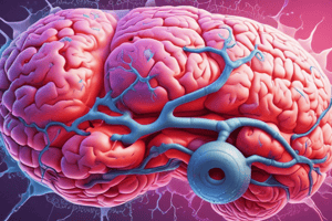 Development of Secondary Vesicles and Eyes in the Embryonic Brain