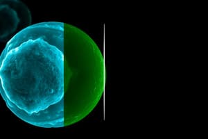 Cell Division and Mitosis Overview