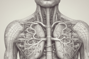 Lungs and Pleurae: Anatomy and Surface Features