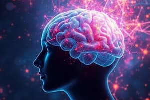 Cognitive Neuroscience Quiz